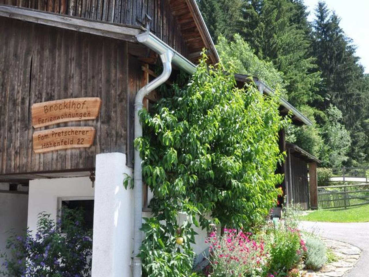 Ganze Ferienwohnung, Bröcklhof - App. Therese - Wohn-Schlafraum, Dusche, Wc in Haus, Schladming-Dachstein