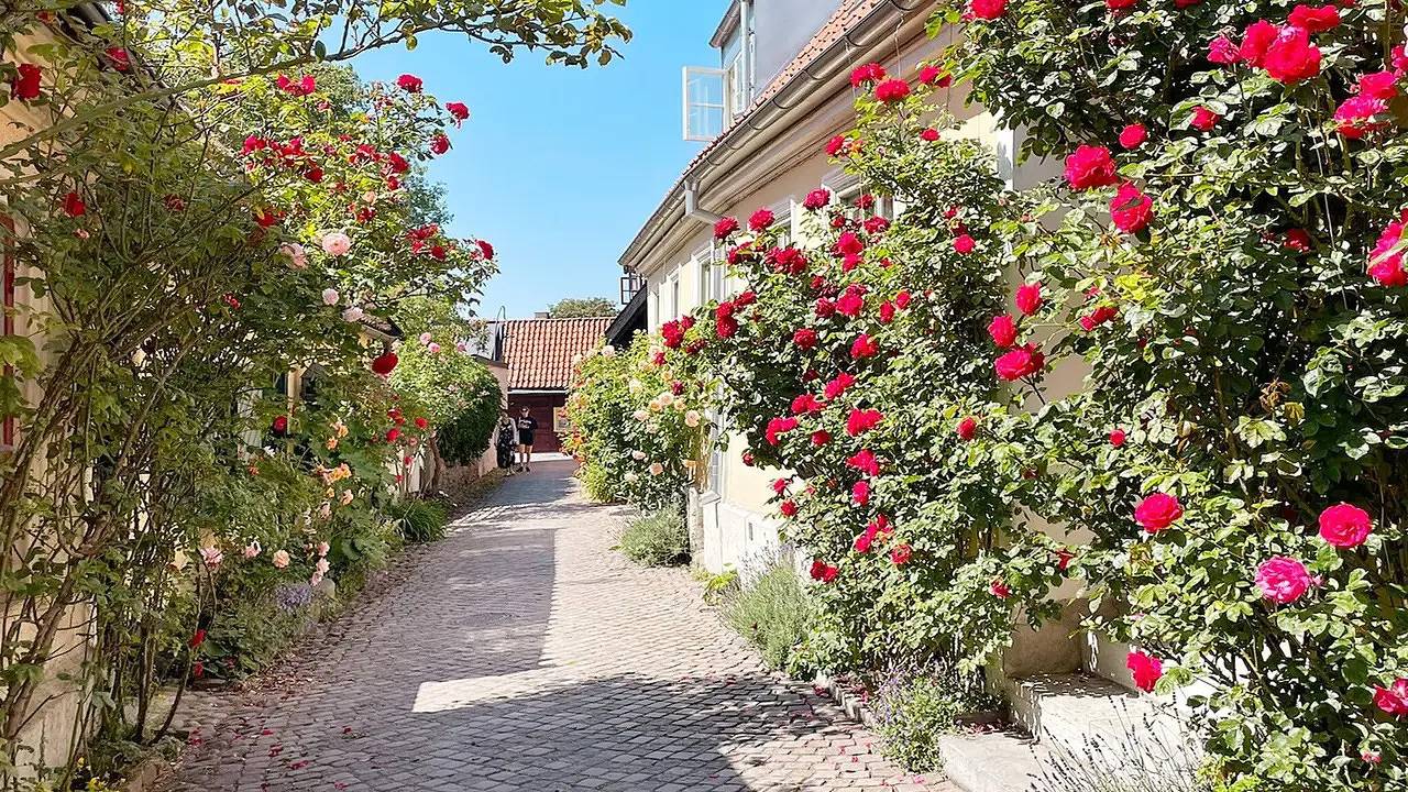 Ferienhaus für 6 Personen (70 m²) in Gotlands Tofta in Tofta, Gotland