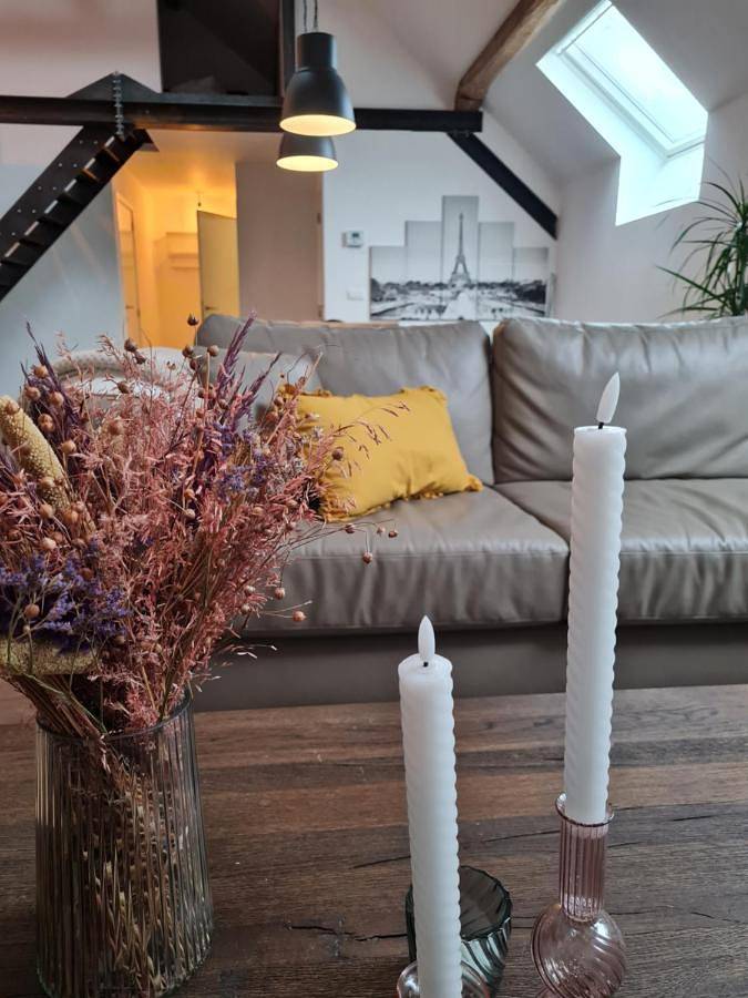 Gîte pour 4 personnes, avec terrasse à Maasmechelen - 3