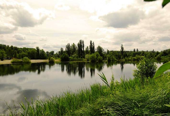 Hotel für 4 Personen, mit Terrasse und Garten sowie Seeblick in Rheinebene - 2