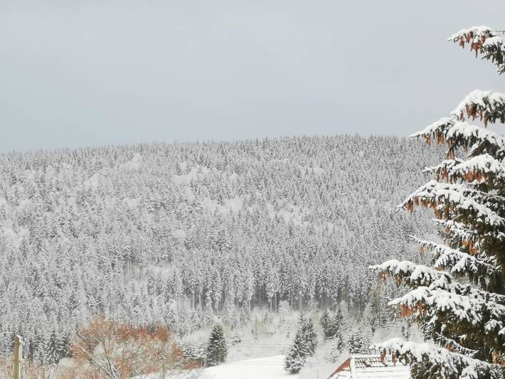 Maison d’hôte pour 2 personnes, avec jardin et terrasse à Schluchsee - 2