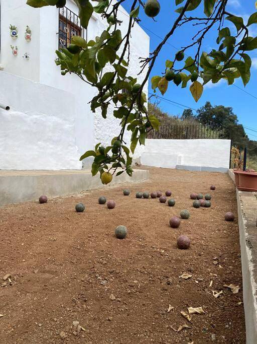 Casa Aya in Teror, Gran Canaria Nord