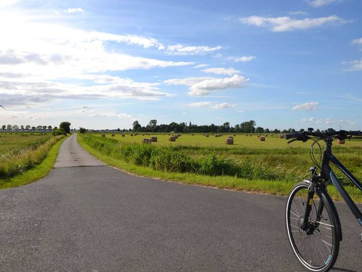 Ferienhaus für 5 Personen, mit Terrasse und Garten, mit Haustier in Leer und Umgebung - 4
