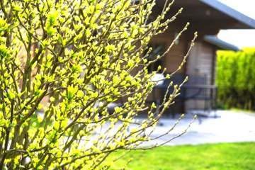 Ferienwohnung für 4 Personen in Bodman-Ludwigshafen, Obersee (Bodensee), Bild 1