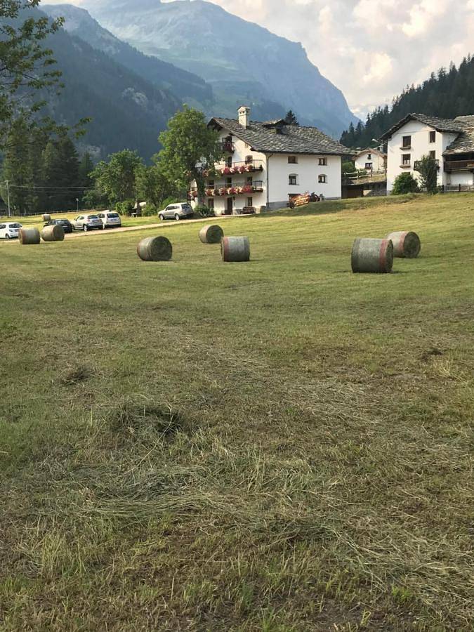 Gîte pour 4 personnes, avec vue et jardin, animaux acceptés dans Gressoney-Saint-Jean
