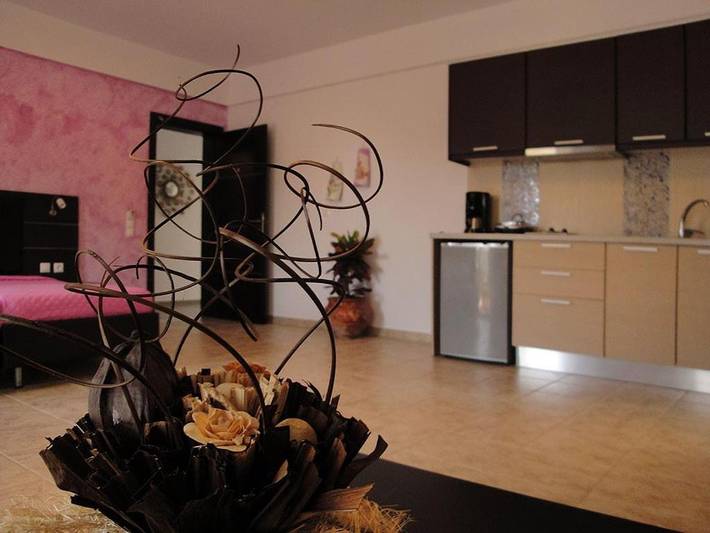 Hotel voor 4 personen, met terras en tuin, met huisdier in Parga