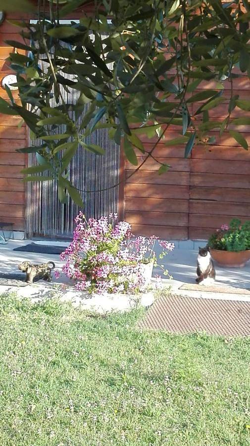 'O Chalet in Pozzuoli, Napoli e dintorni