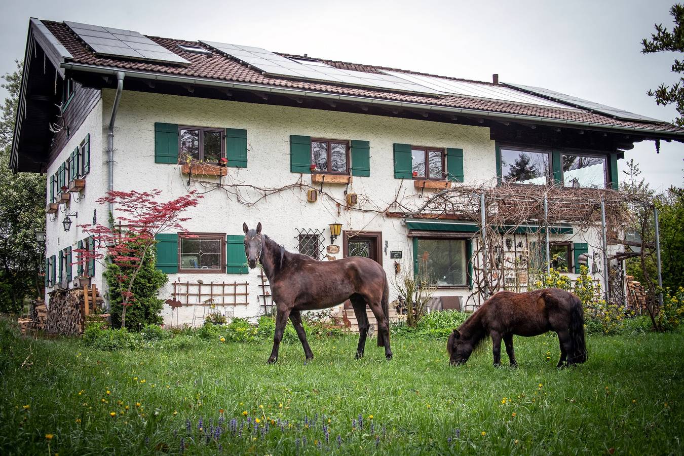 Ganze Ferienwohnung, Ferienwohnungen Eisele "Die mit dem Pferd" - Ferienwohnung Hochries, Dachgeschoss, 48 qm in Bad Feilnbach, Alpenland Tegernsee Schliersee