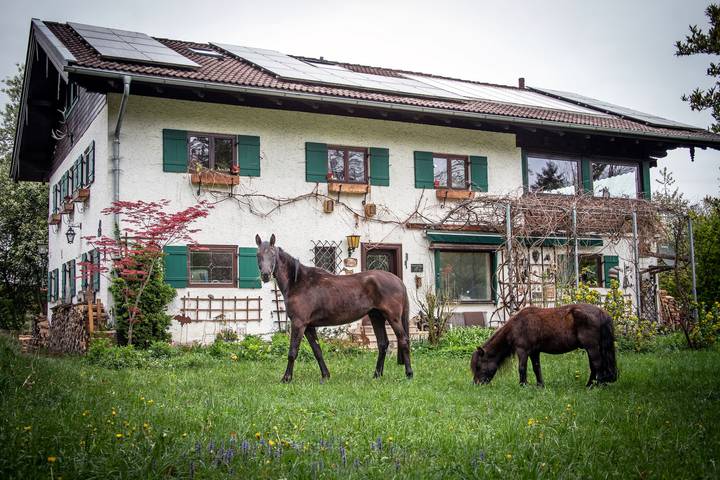 Ferienwohnung für 3 Personen, mit Garten, kinderfreundlich - 1