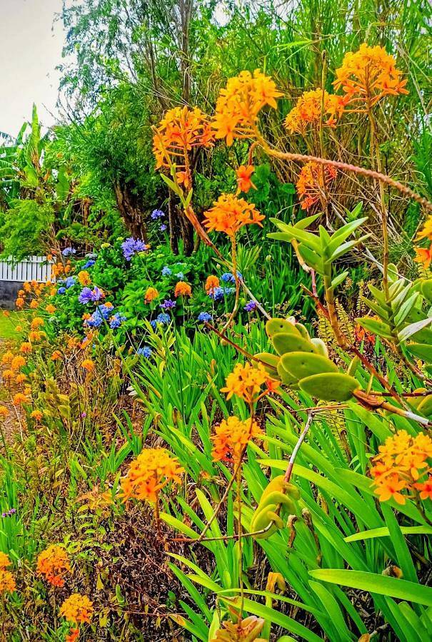 Maison de vacances pour 4 personnes, avec vue et terrasse