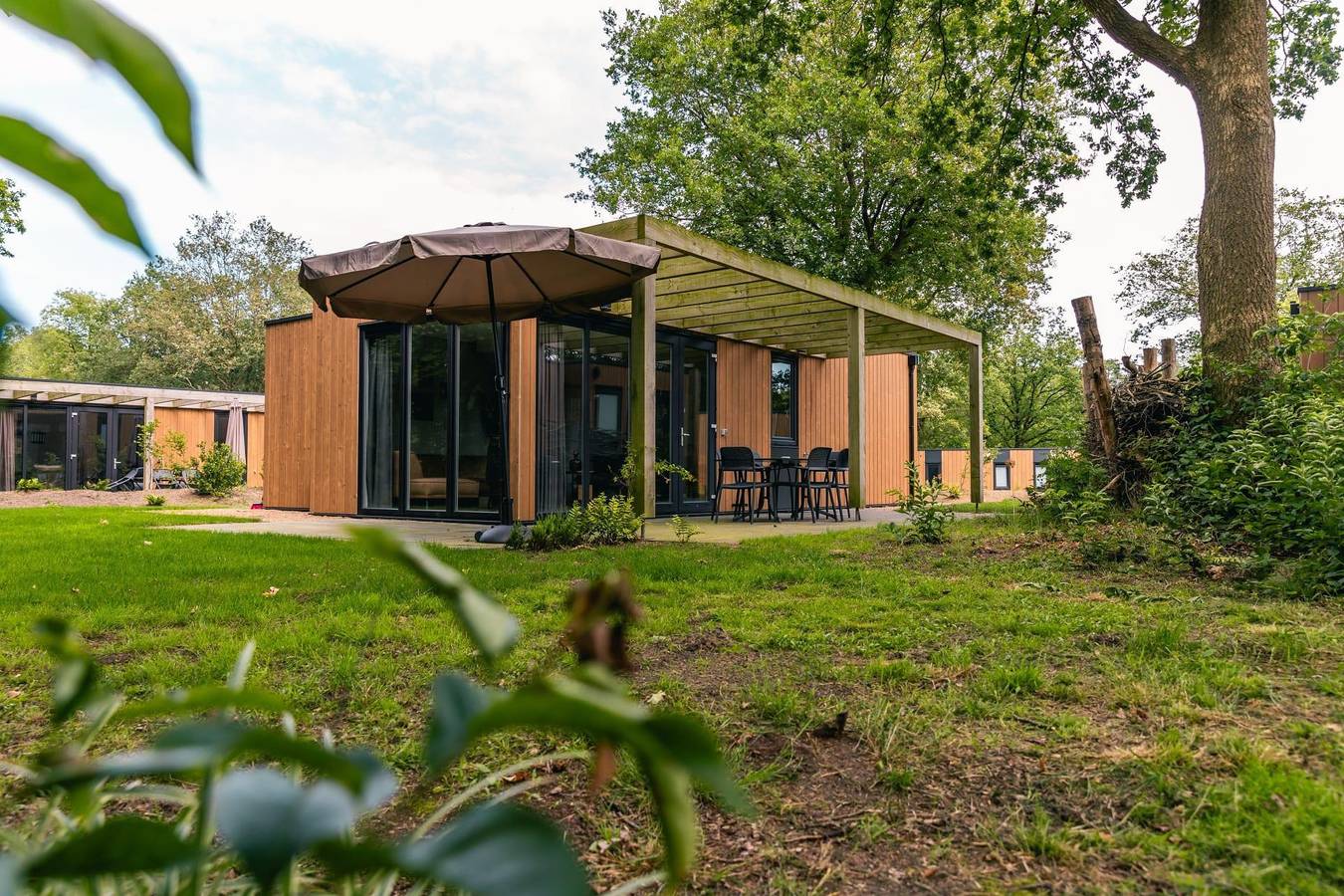 Europarcs Ruinen — Cube 6 in Ruinen, Nationalpark Dwingelderveld