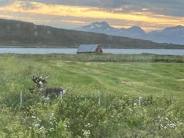 Ferienhaus für 6 Personen, mit Seeblick und Garten sowie Ausblick in Lyngen
