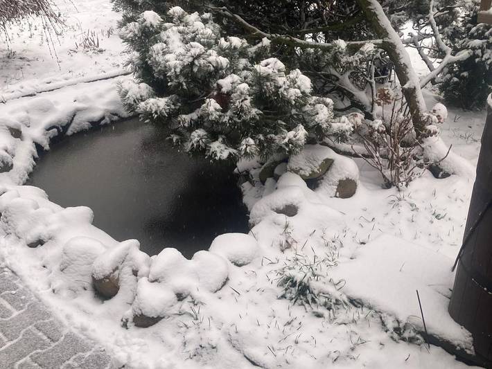 Ferienwohnung für 3 Personen, mit Garten in Sächsisches Burgen- und Heideland - 4