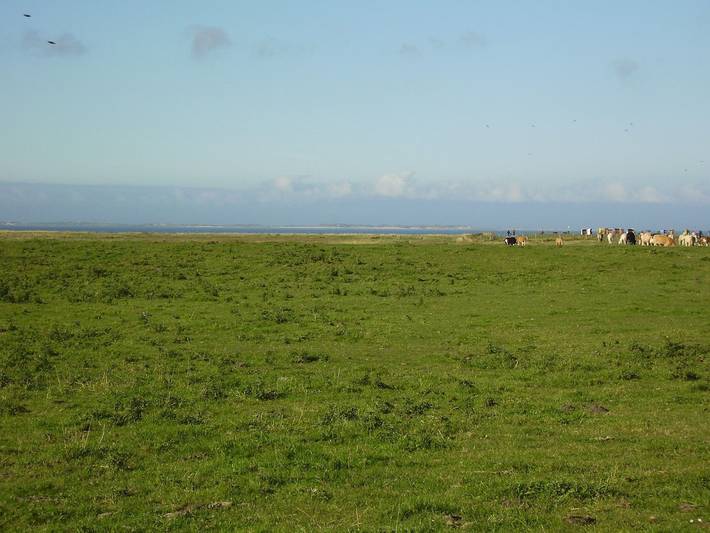 Ferienhaus für 5 Personen, mit Garten und Terrasse, mit Haustier in Neßmersiel - 4