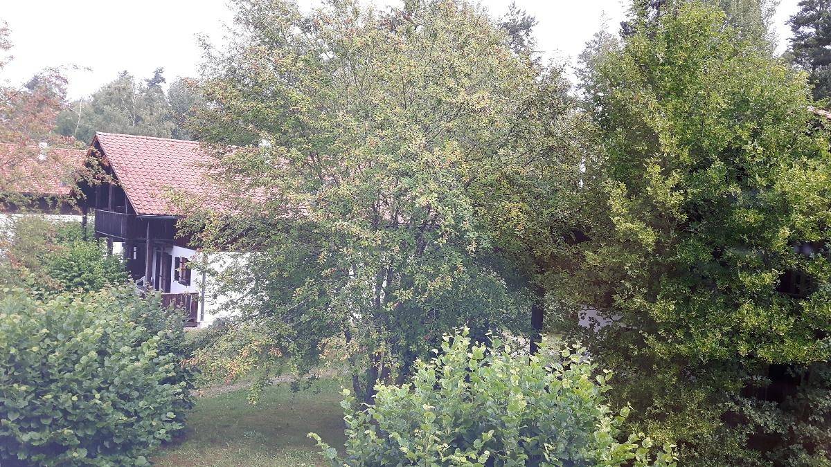 Ganze Wohnung, Ferienhaus Virzi - Waldferiendorf Regen - Haus Virzì für 2 Personen mit Terrasse, Garten und Balkon in ruhiger Lage in Regen (Ostbayern), Ostbayern