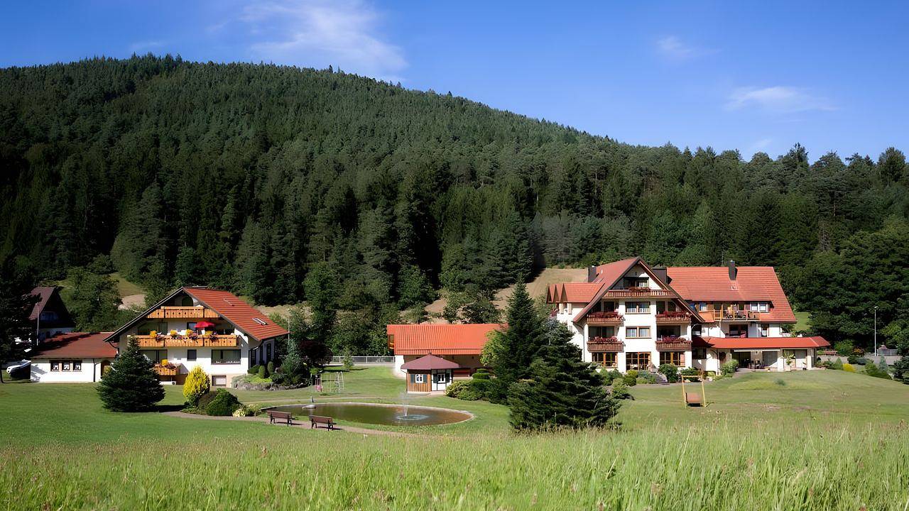 Vakantiewoning voor 4 Personen in Tonbach, Baiersbronn