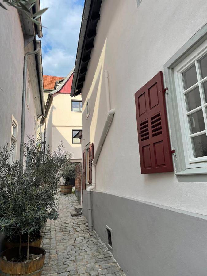 Ferienhaus für 6 Personen, mit Terrasse an der Bergstraße - 3