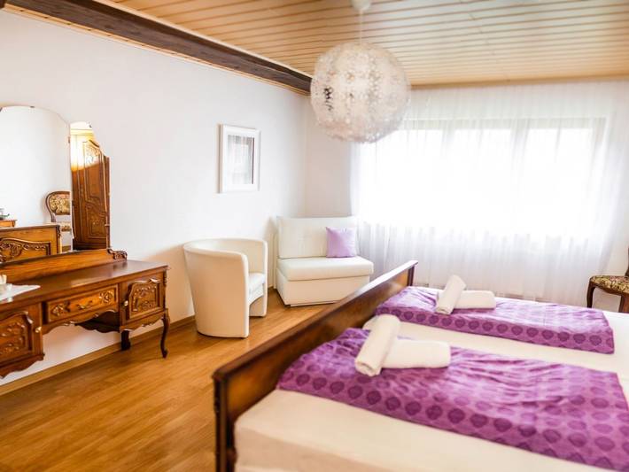 Gîte pour 14 personnes, avec jardin, animaux acceptés à Zell am Harmersbach - 4