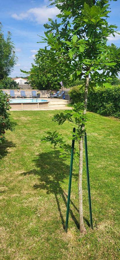 Location de vacances pour 5 personnes, avec terrasse ainsi que piscine et vue, animaux acceptés à Bazoges-en-Pareds - 4