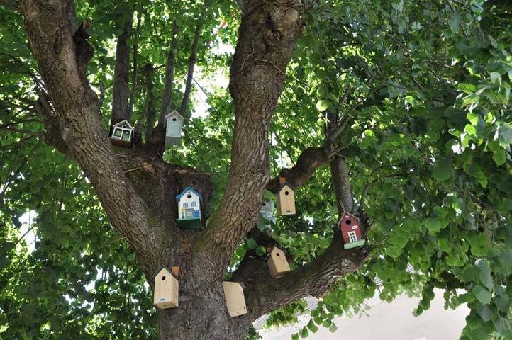 Gîte pour 2 personnes, avec jardin à La Ferté-sous-Jouarre - 4