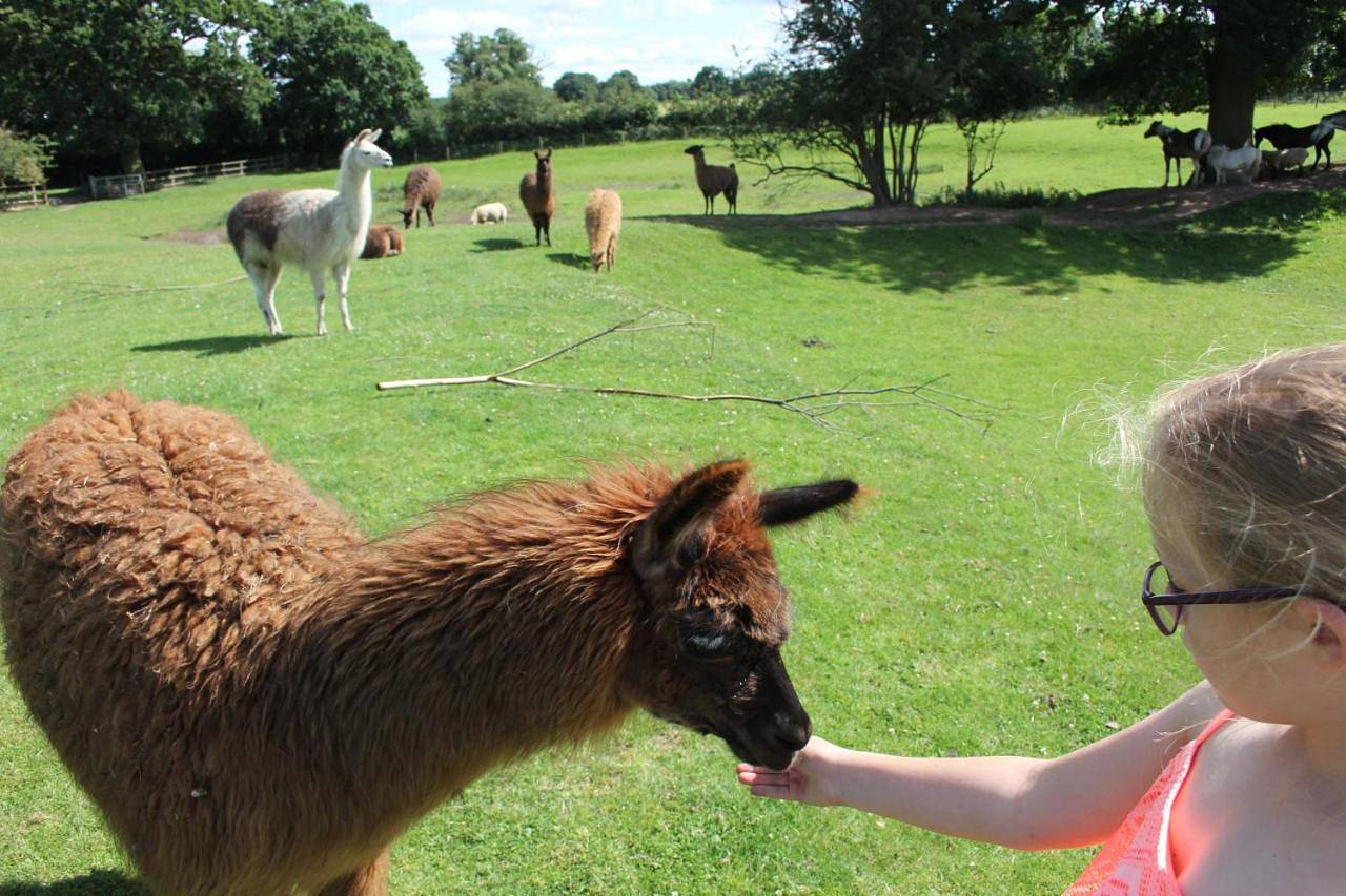 Glamping West Midlands in Staffordshire