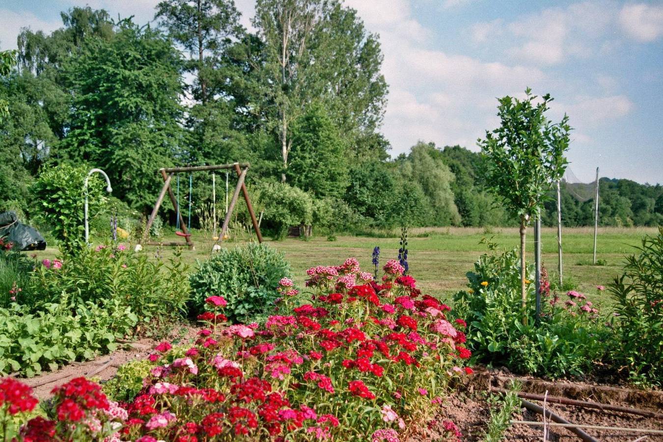 4-Bettwohnung (in alter Mühle) in Mülheim, Bernkastel-Kues & Umgebung