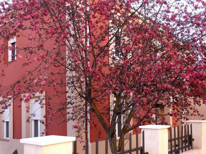 Casa rural para 12 personas, con vistas además de jardín y piscina en Brihuega - 4