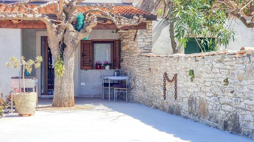 Ferienwohnung für 3 Personen, mit Terrasse, mit Haustier - 1