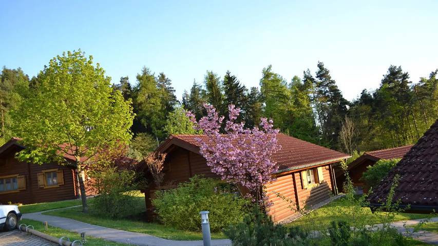 Ferienhaus für 5 Personen, mit Garten und Terrasse, mit Haustier in Stamsried - 3