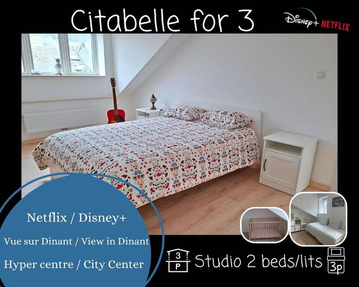 Pension voor 3 personen, met uitzicht in Dinant