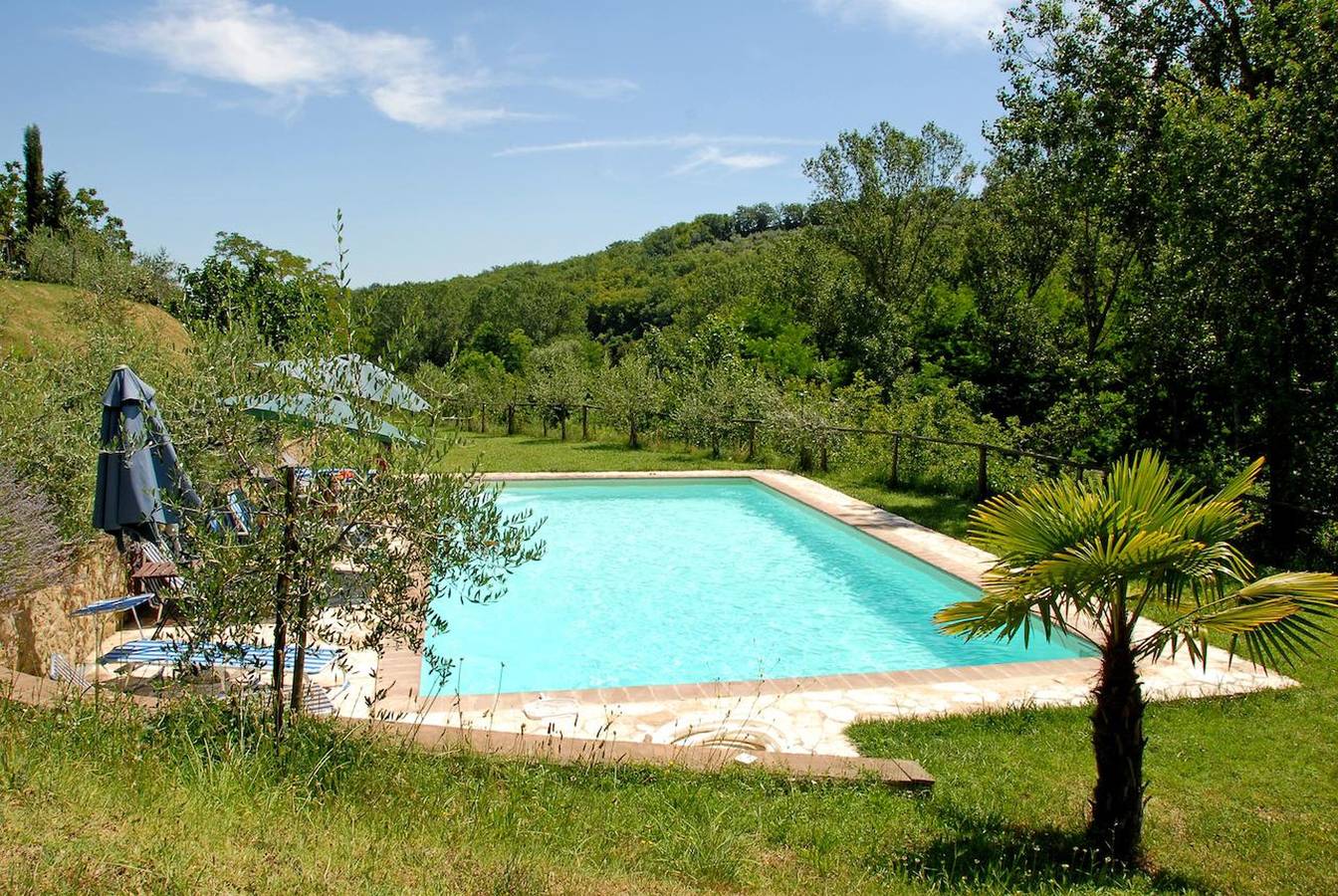 Ganze Wohnung, Helles Apartment in Montepulciano mit Gemeinschaftspool - 45 m² in Montepulciano, Chianti