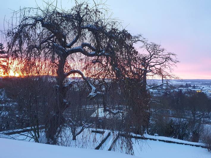 Ferienwohnung für 5 Personen, mit Balkon und Garten in Fritzlar - 2