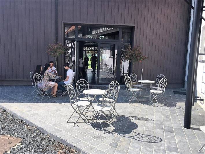 Chambre d’hôte pour 11 personnes, avec sauna et terrasse ainsi que jacuzzi et jardin, animaux acceptés dans la Région d'Audenarde - 4