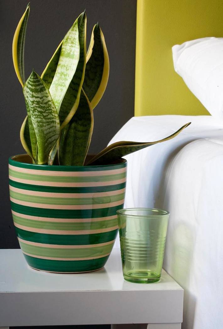 Gîte pour 3 personnes, avec vue et jardin à Colera - 2