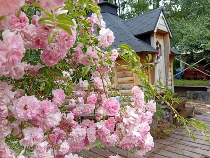 Gîte pour 4 personnes, avec Jardin et Vue sur le lac à Renac