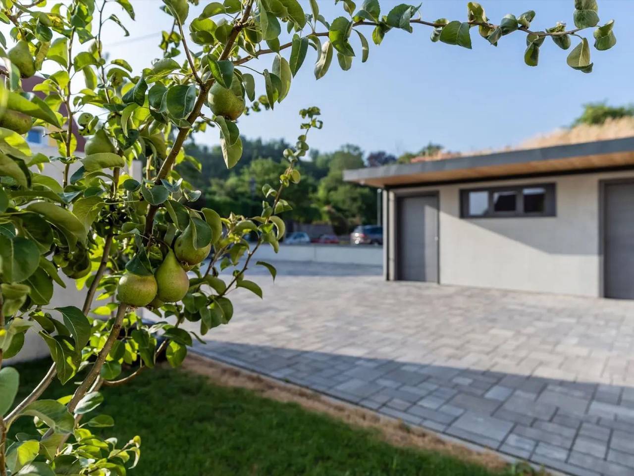 Zollhaus - Doppelzimmer in Endingen am Kaiserstuhl, Endingen