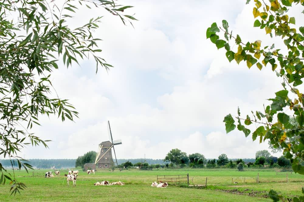 Ganze Wohnung, Vacation home with bath along the Utrecht Vecht in Groene Hart