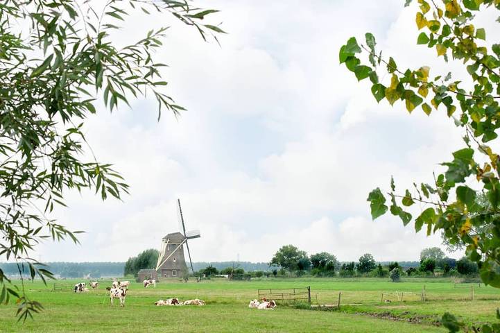 Ganze Wohnung, Vacation home with bath along the Utrecht Vecht in Groene Hart