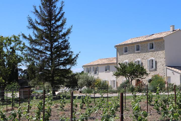 Gîte pour 15 personnes, avec terrasse ainsi que piscine et jardin, animaux acceptés à Caromb - 4