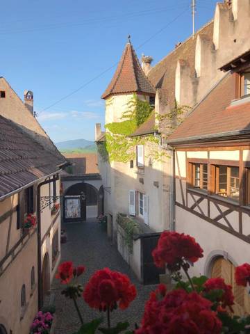 Chambre d’hôte pour 2 personnes, avec terrasse à Mittelbergheim