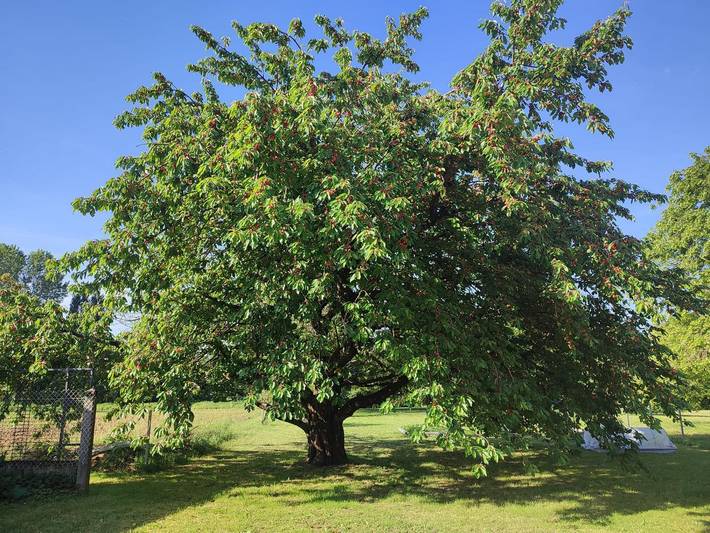 Gîte für 2 Personen, mit Garten in Frankreich - 4