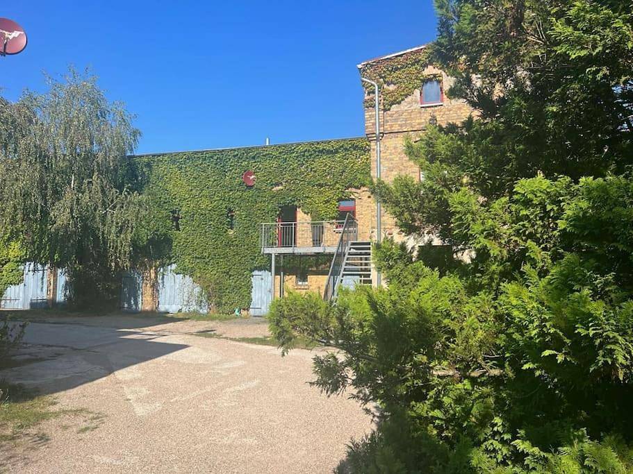 One-Bedroom House in Marienwerder, Naturpark Barnim