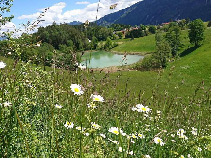 Ganze Ferienwohnung, Pulvererhof - Ferienwohnung Seeblick in Kramsach, Kaisergebirge