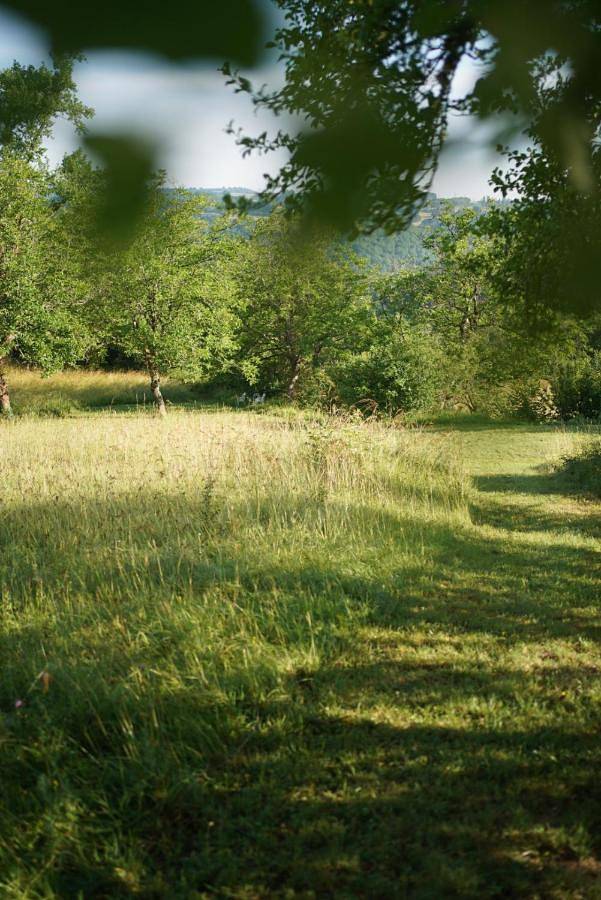 Club vacances pour 3 personnes, avec piscine ainsi que jardin et terrasse en Dordogne - 4