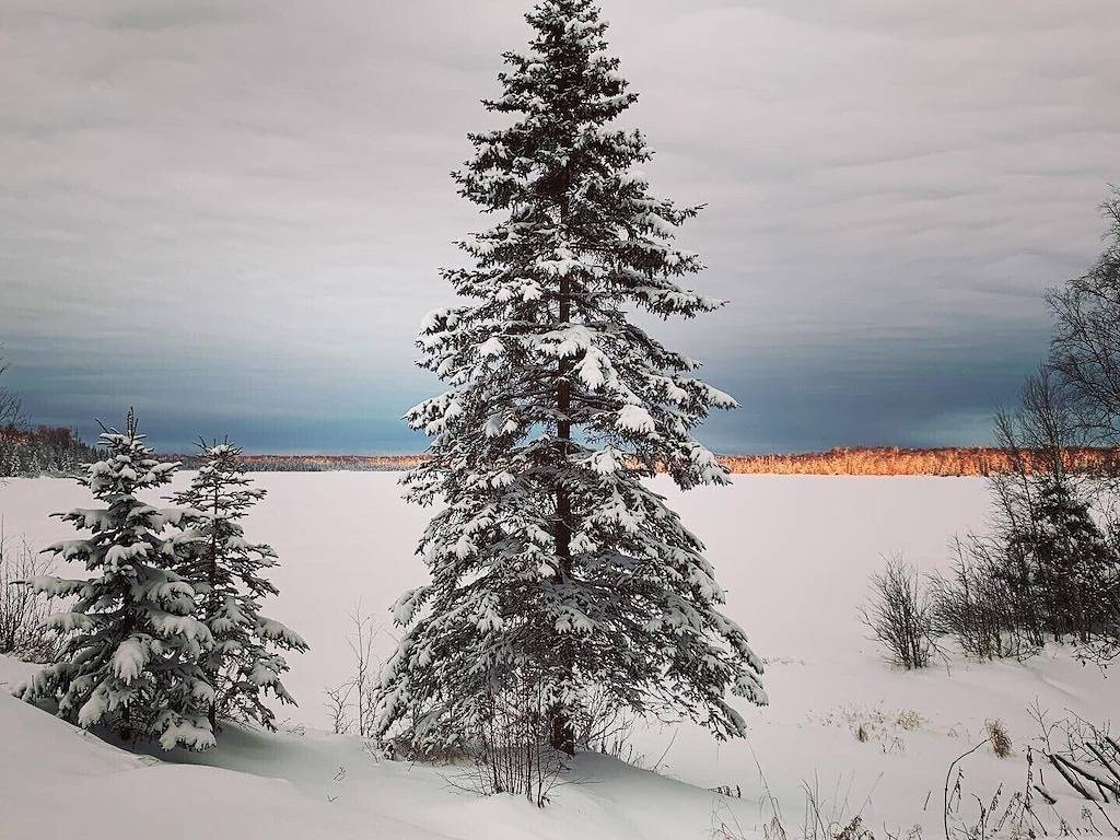 Ganze Wohnung, Denali Penthouse, lakefront near Talkeetna and Denali State Park in Trapper Creek, Matanuska-Susitna