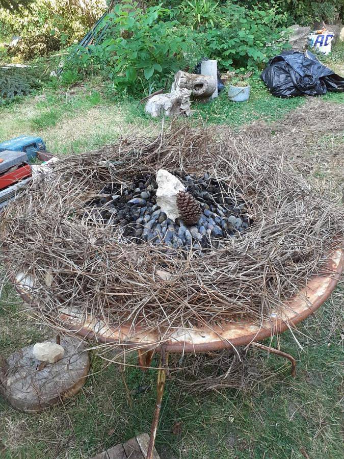 Gîte pour 14 personnes, avec terrasse ainsi que vue et jardin à Fontaine-Chalendray