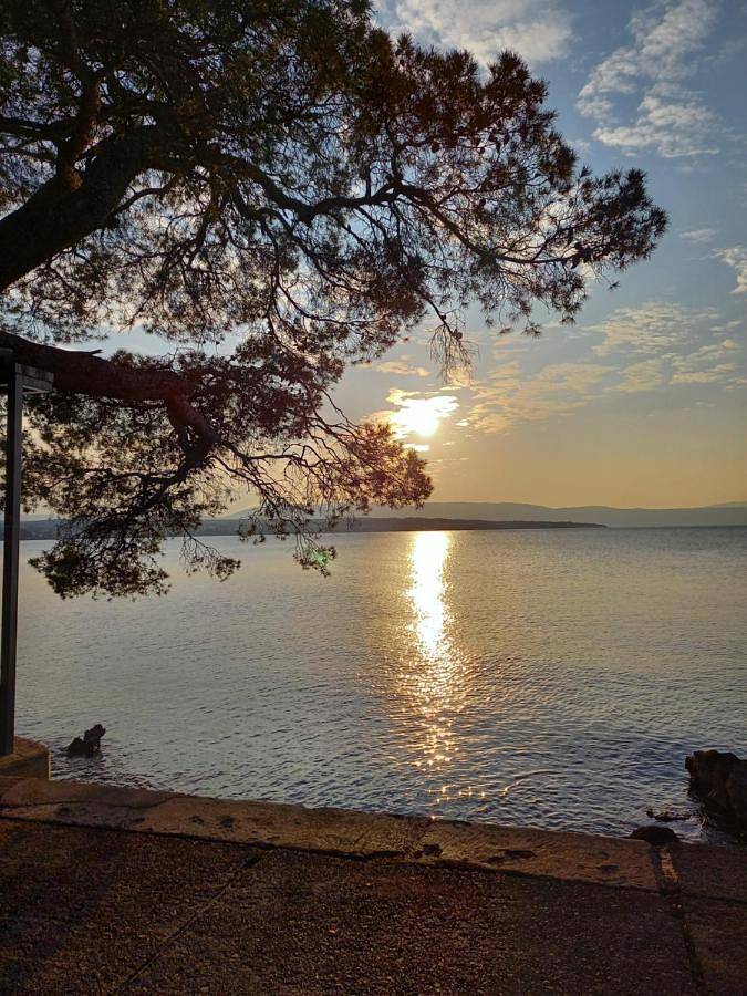 Ferienwohnung für 11 Personen, mit Ausblick und Garten - 1