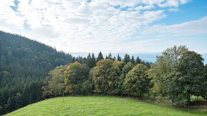 Ferienwohnung für 4 Personen in Sankt Peter, Hochschwarzwald, Bild 3