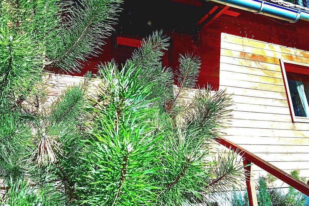 Domaine les lodges nature,private wellness, chalet de luxe en pleine nature in Soultzeren, Regionaler Naturpark Belchen der Vogesen