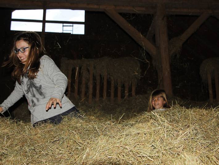 Hütte für 6 Personen, mit Pool und Terrasse sowie Garten und Sauna, kinderfreundlich in Baden-Württemberg - 3